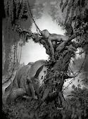 Eerie & Creepy [édition intégrale]